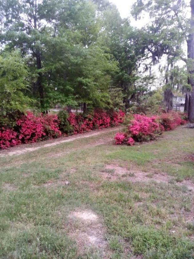 1201 Crescent Street Photo 5