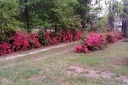 1201 Crescent Street photo 4