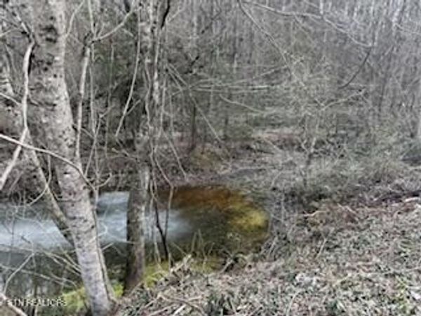 Bates Gibson Rd, Sevierville, TN 37876