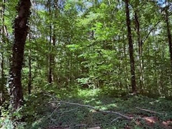 Bates Gibson Rd, Sevierville, TN 37876