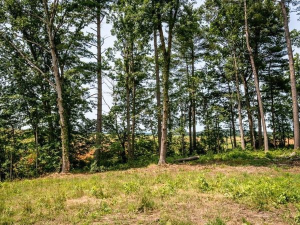 0 PINEY WOODS RD, TIMBERVILLE, VA 22853