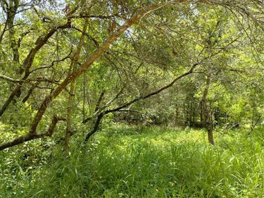 DOGWOOD WAY, LADY LAKE, FL 32159