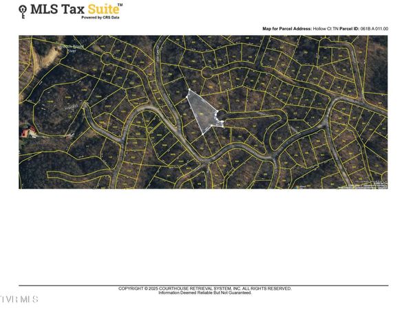 Tr 1 Hollow Court, White Pine, TN 37890