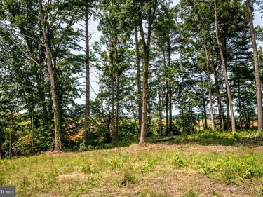 0 PINEY WOODS ROAD, TIMBERVILLE, VA 22853