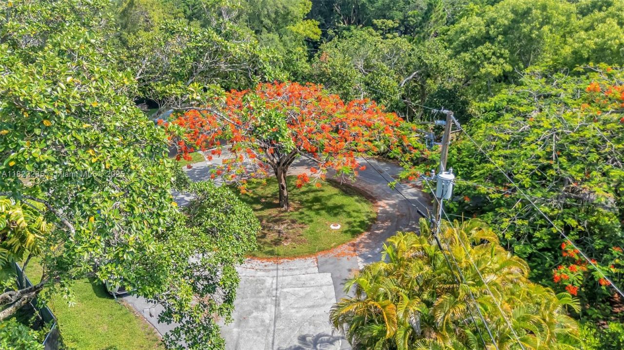 11230 SW 69th Ct, Pinecrest, FL 33156 Photo