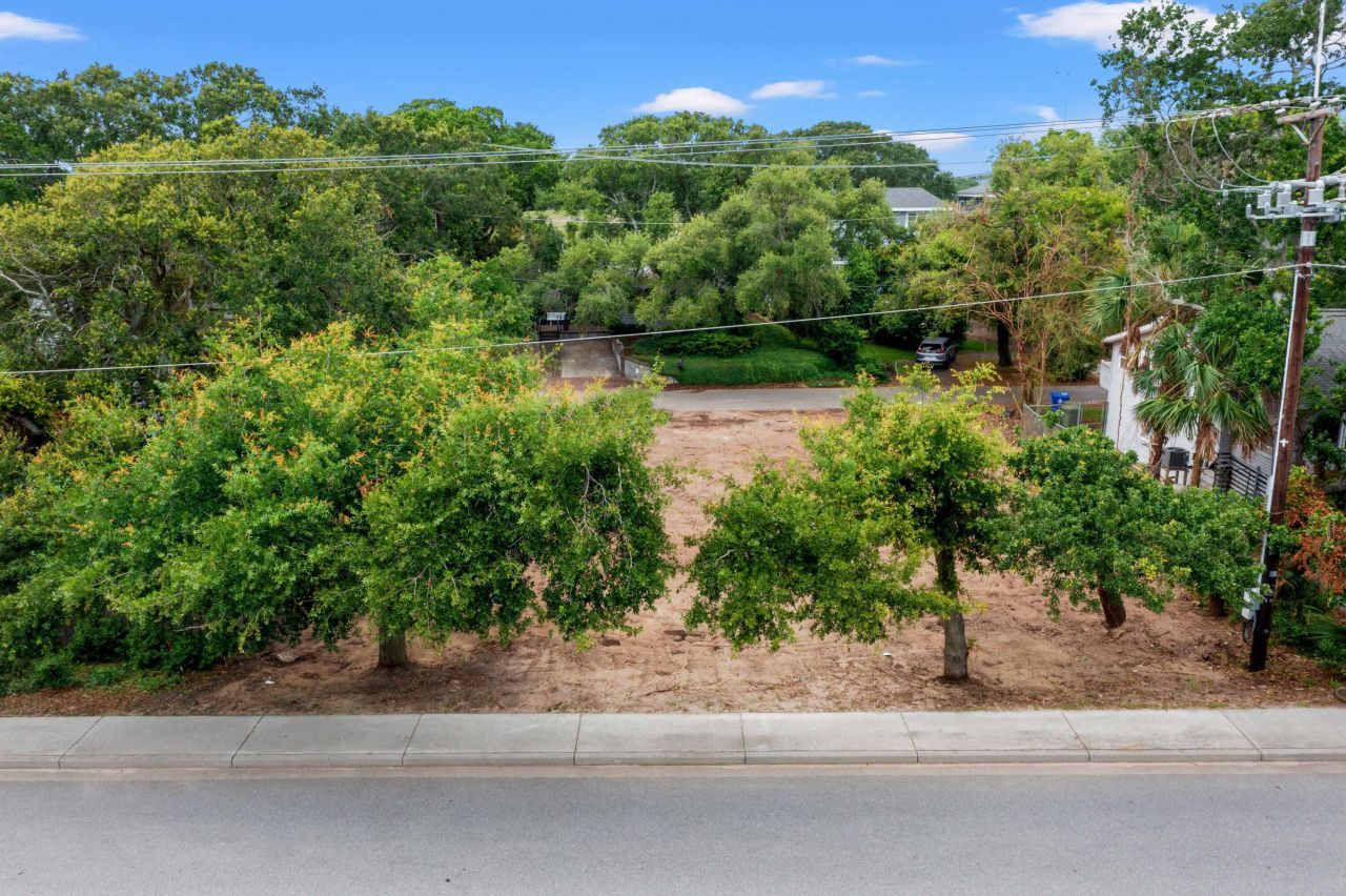 1103 Palm Boulevard Photo 4