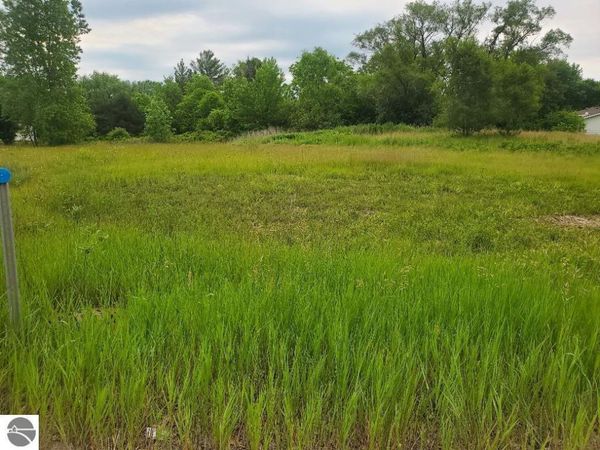 Pickard Road E, Mt Pleasant, MI 48858