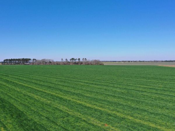 Lot 14 Davis Pond Road, Atmore, AL 36502