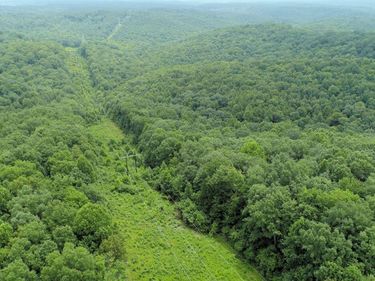 000 London Dock Road, London, KY 40744