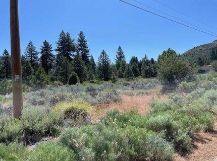 556 Longhorn Drive, Loyalton, CA 96118 Photo