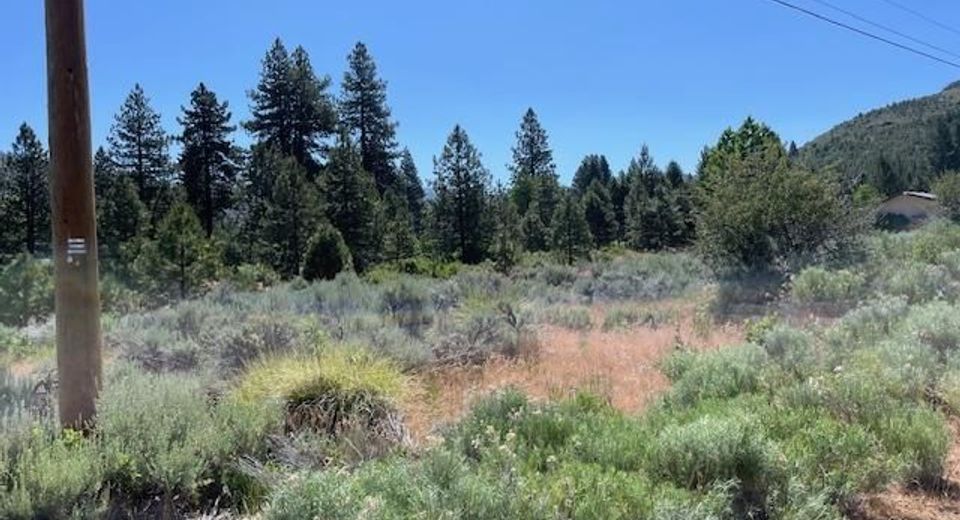 556 Longhorn Drive, Loyalton, CA 96118 Photo