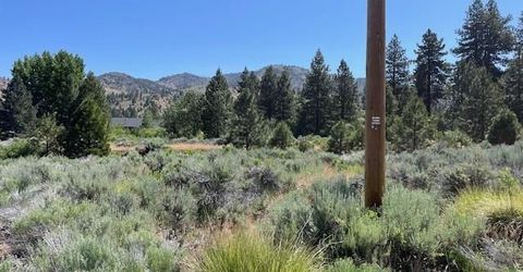 556 Longhorn Drive, Loyalton, CA 96118 Photo