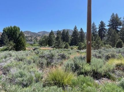 556 Longhorn Drive, Loyalton, CA 96118 Photo