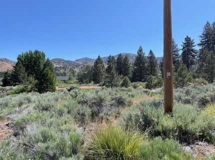 556 Longhorn Drive, Loyalton, CA 96118 Photo