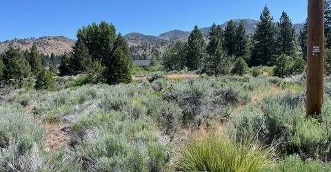 556 Longhorn Drive, Loyalton, CA 96118 Photo