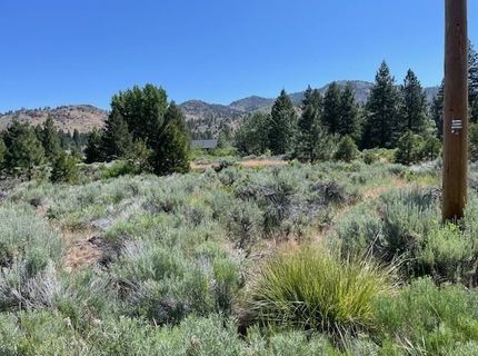 556 Longhorn Drive, Loyalton, CA 96118 Photo