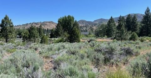 556 Longhorn Drive, Loyalton, CA 96118 Photo