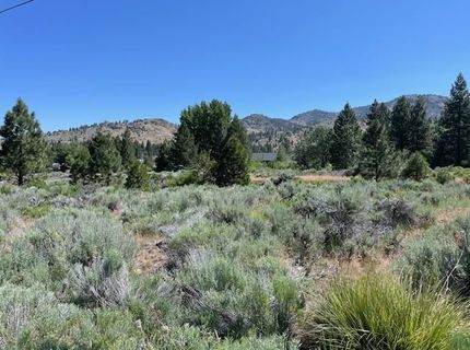 556 Longhorn Drive, Loyalton, CA 96118 Photo