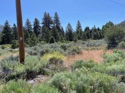 556 Longhorn Drive, Loyalton, CA 96118 Photo