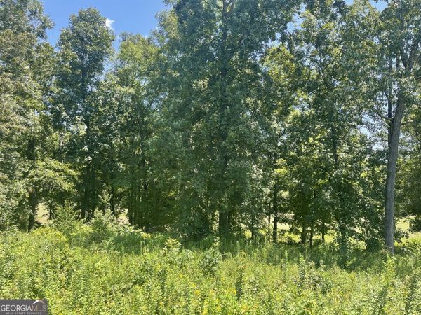 LOT 11 Oak Drive, Hawkinsville, GA 31036