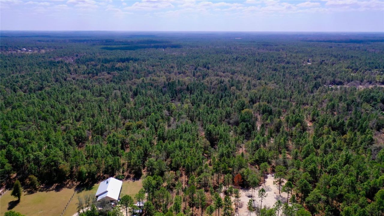 7137 W Sunmar Sample Lane, Dunnellon, FL 34433 Photo