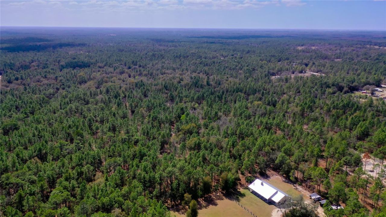 7137 W Sunmar Sample Lane, Dunnellon, FL 34433 Photo