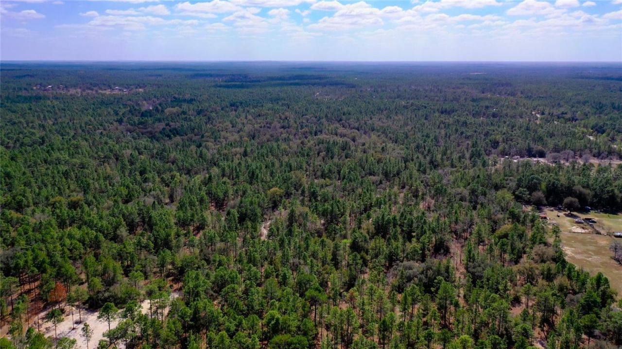 7137 W Sunmar Sample Lane, Dunnellon, FL 34433 Photo