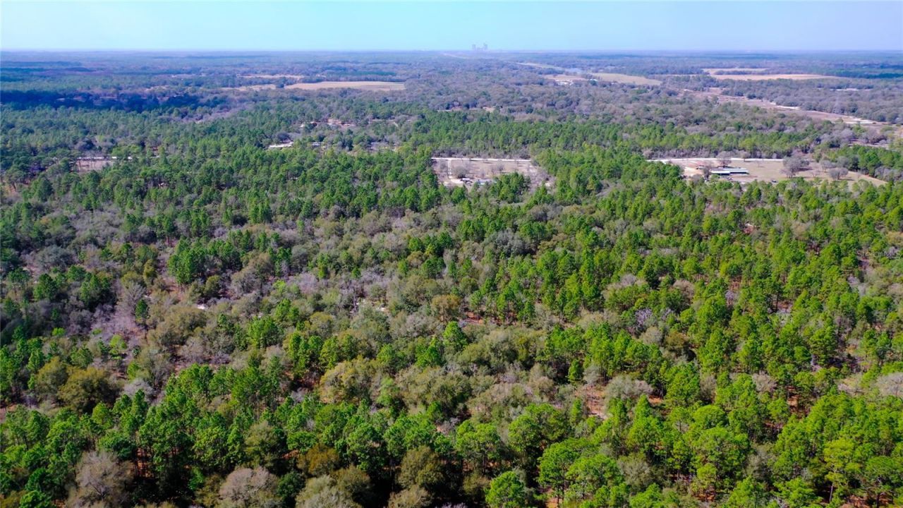 7137 W Sunmar Sample Lane, Dunnellon, FL 34433 Photo