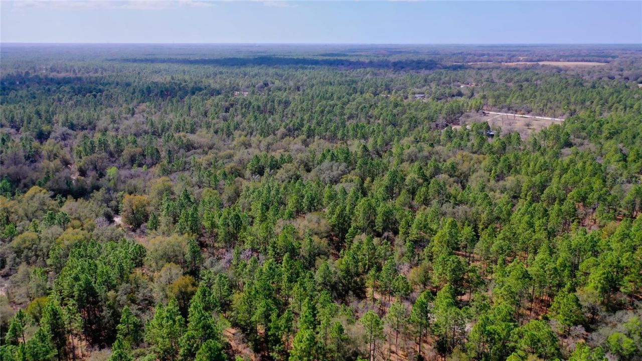 7137 W Sunmar Sample Lane, Dunnellon, FL 34433 Photo