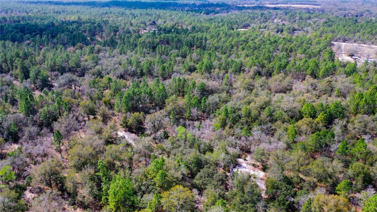 7137 W Sunmar Sample Lane, Dunnellon, FL 34433 Photo