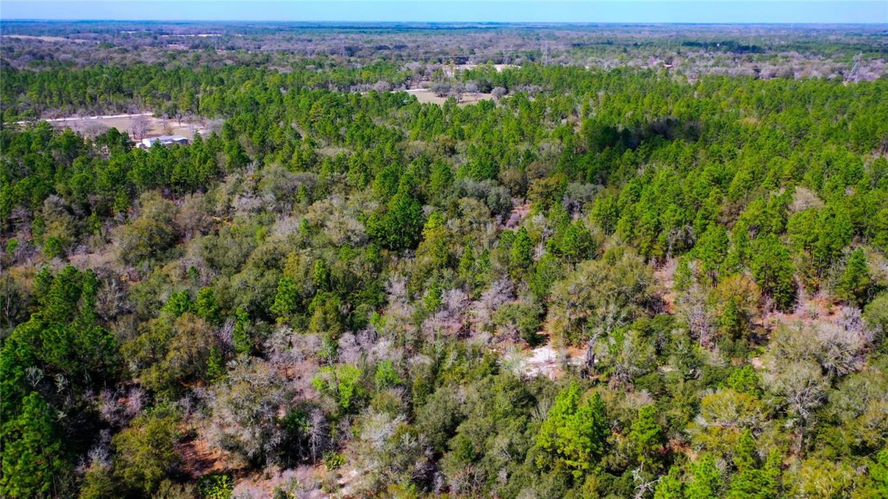 7137 W Sunmar Sample Lane, Dunnellon, FL 34433 Photo