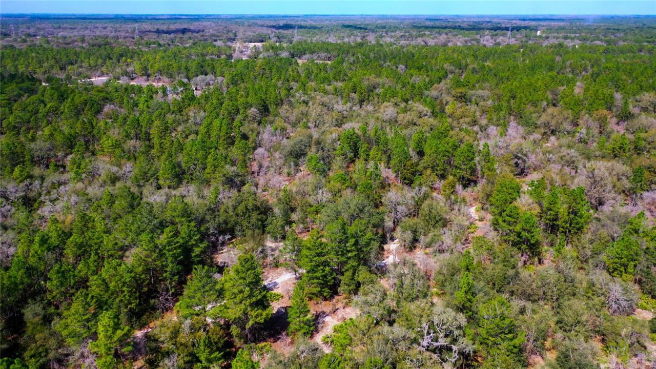 7137 W Sunmar Sample Lane, Dunnellon, FL 34433 Photo