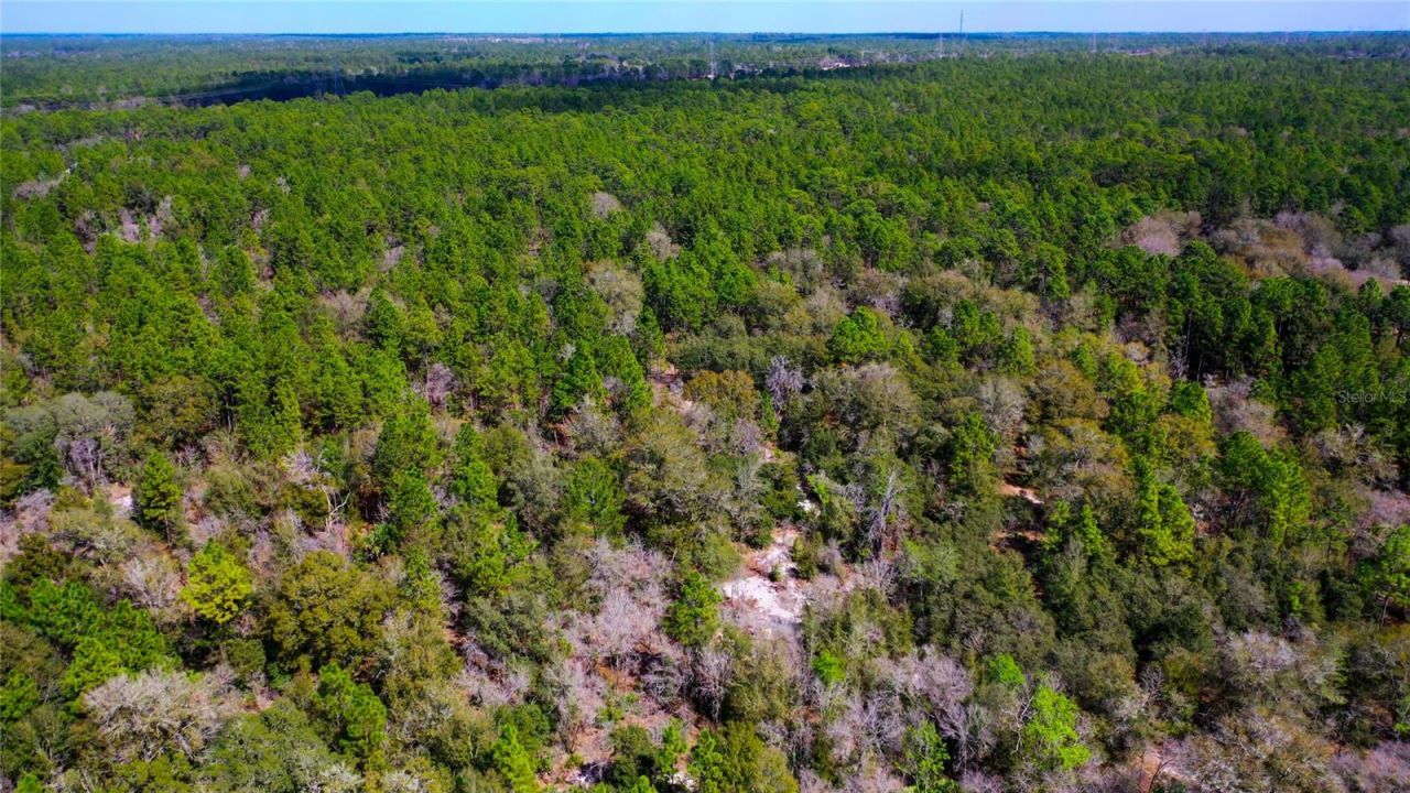 7137 W Sunmar Sample Lane, Dunnellon, FL 34433 Photo