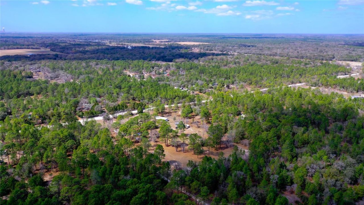 7137 W Sunmar Sample Lane, Dunnellon, FL 34433 Photo