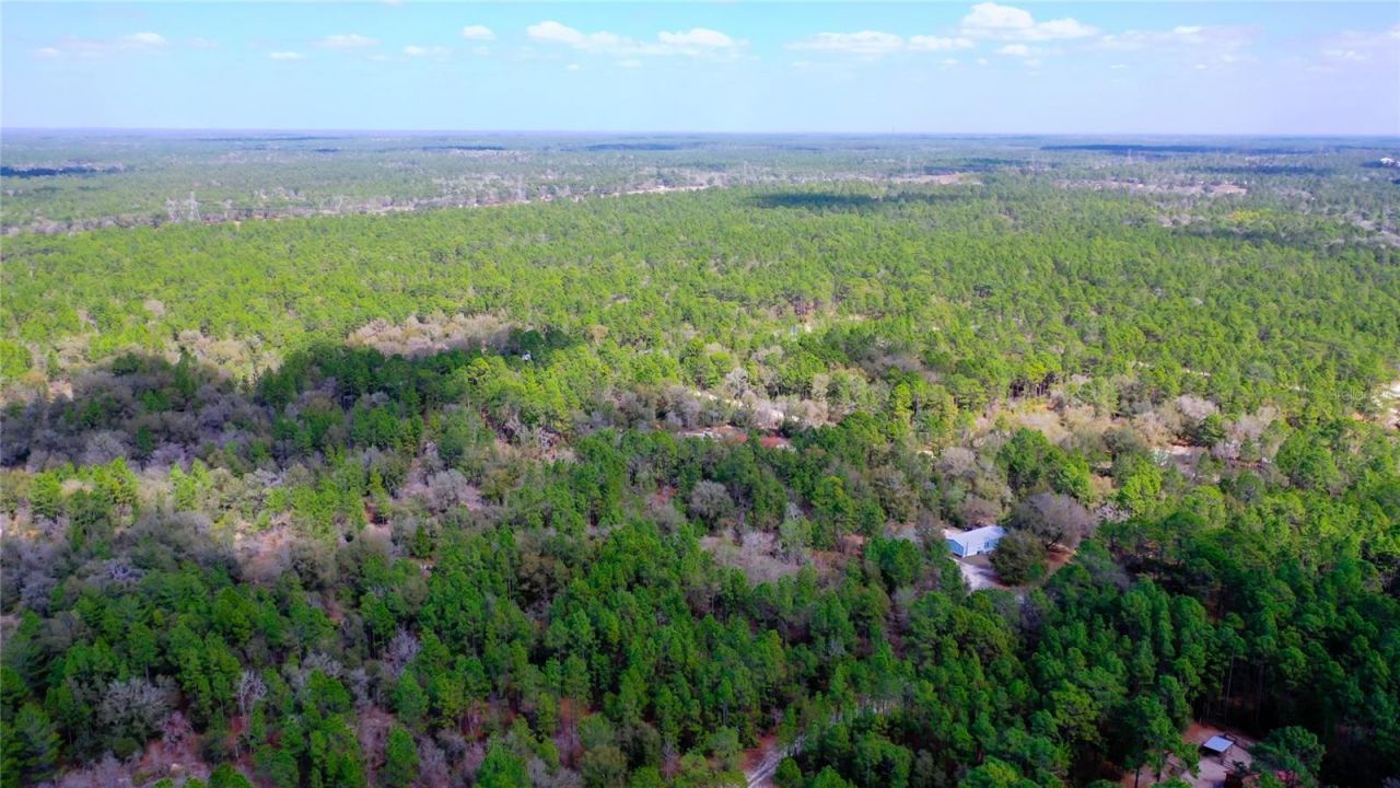 7137 W Sunmar Sample Lane, Dunnellon, FL 34433 Photo