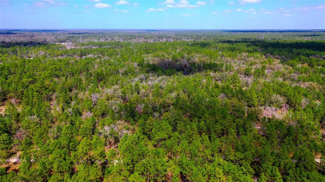 7137 W Sunmar Sample Lane, Dunnellon, FL 34433 Photo