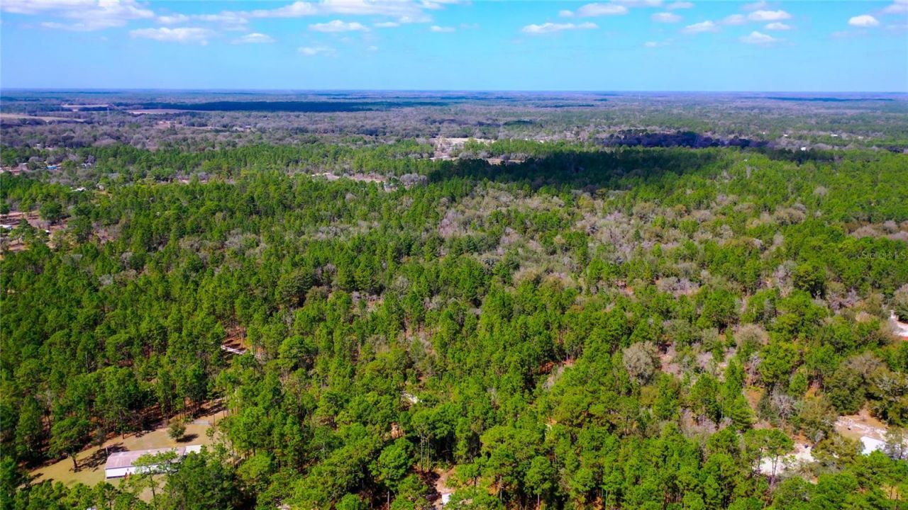 7137 W Sunmar Sample Lane, Dunnellon, FL 34433 Photo