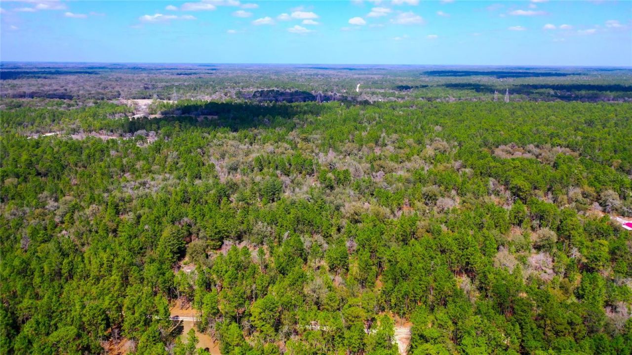 7137 W Sunmar Sample Lane, Dunnellon, FL 34433 Photo