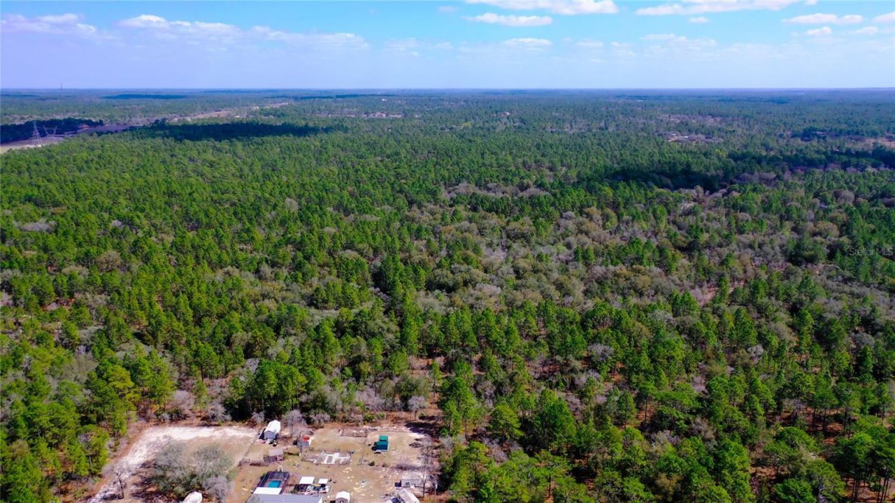 7137 W Sunmar Sample Lane, Dunnellon, FL 34433 Photo