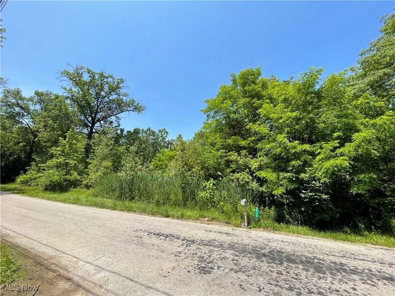 42190 Helen Street, Elyria, OH 44035 Photo 2