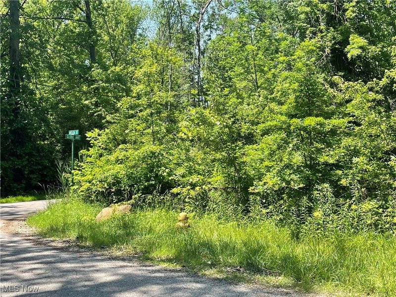 42190 Helen Street, Elyria, OH 44035 Photo 3