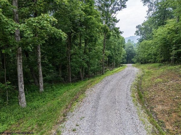 Lot 130 Laurel Loop, Bruceton Mills, WV 26525