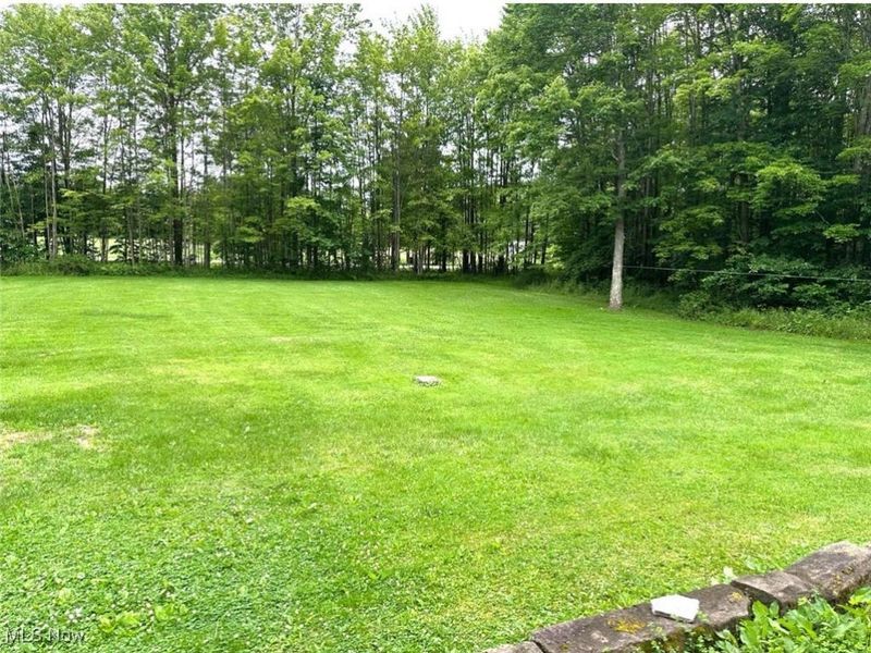 6261 State Route 88, Kinsman, OH 44428 Photo 17