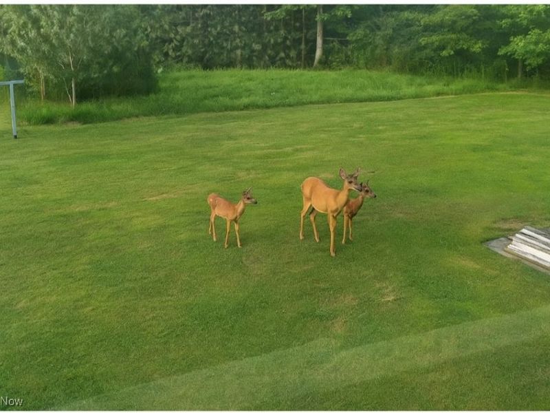 6261 State Route 88, Kinsman, OH 44428 Photo 22