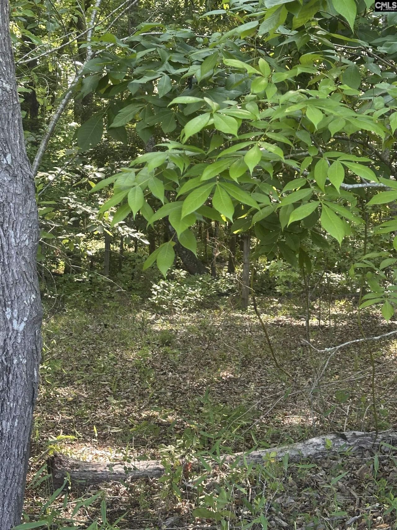 3551 Moonlight Road Photo 12