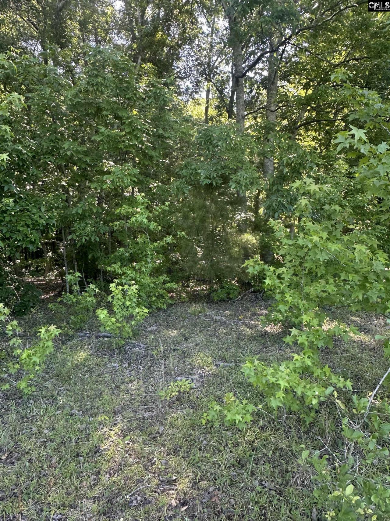 3551 Moonlight Road Photo 13