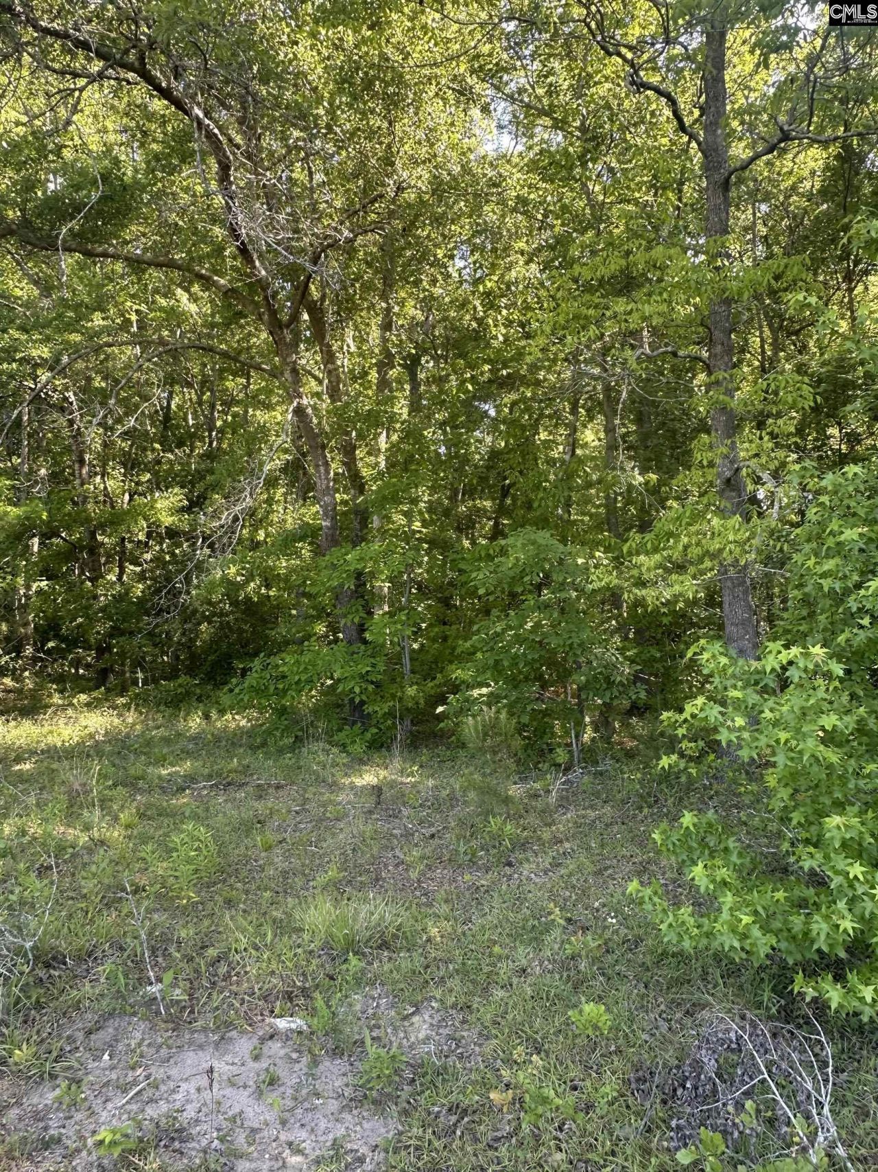 3551 Moonlight Road Photo 14