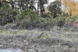 3551 Moonlight Road photo 4