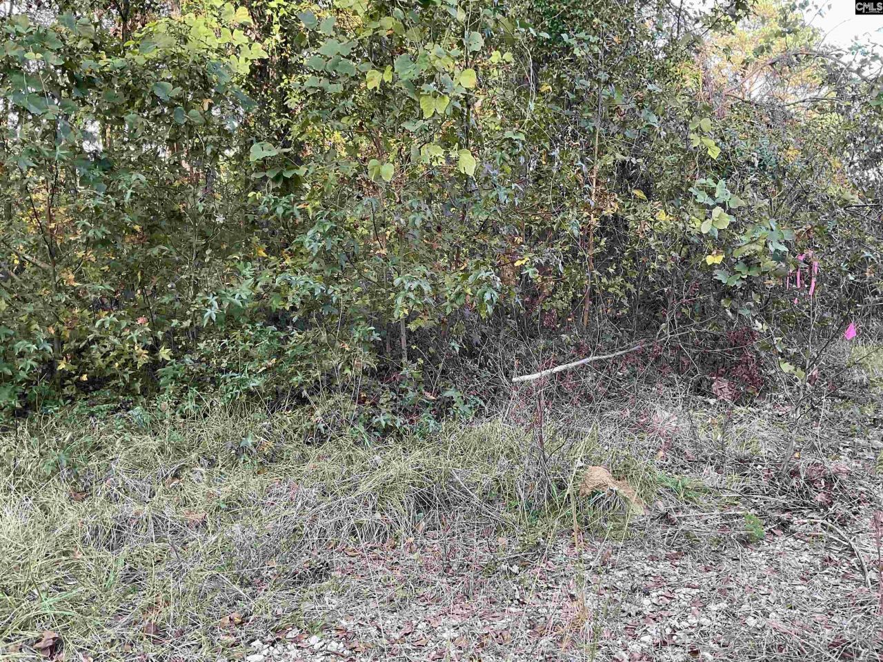 3551 Moonlight Road Photo 4