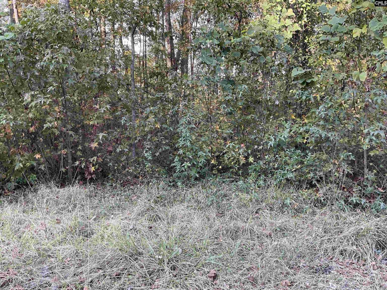 3551 Moonlight Road Photo 5